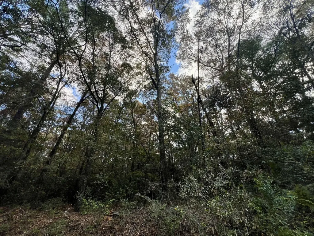 0 Borad Street Headland AL 36345