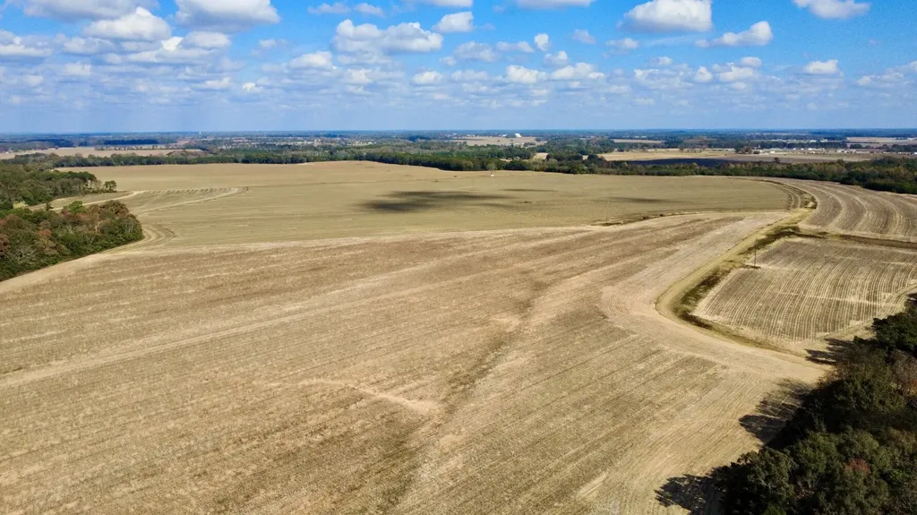 0 Borad Street Headland AL 36345