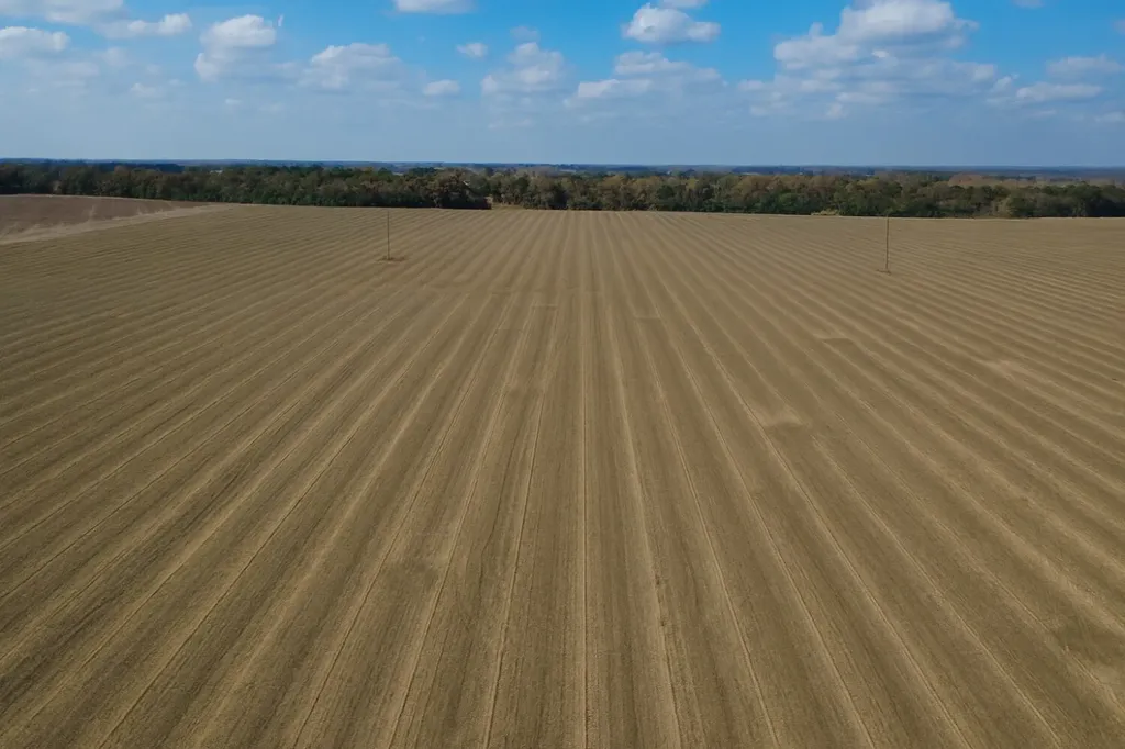 0 Borad Street Headland AL 36345