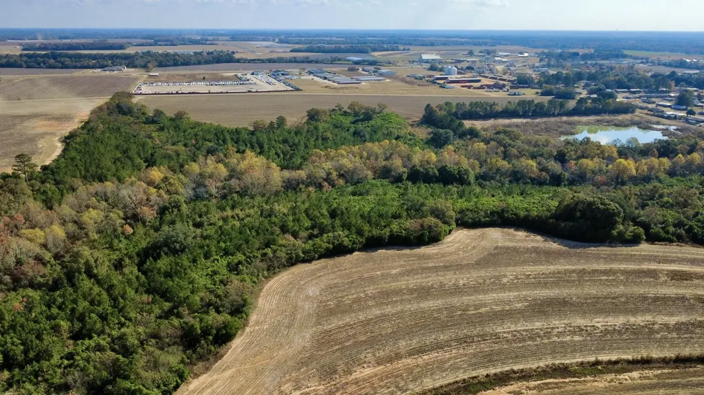 0 Borad Street Headland AL 36345