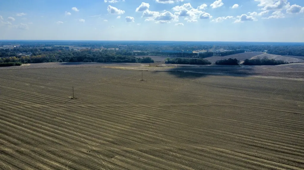 0 Borad Street Headland AL 36345