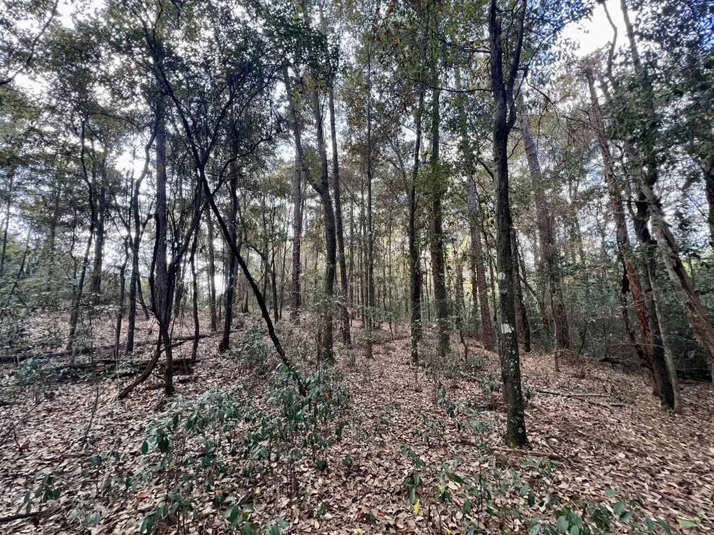 0 Borad Street Headland AL 36345