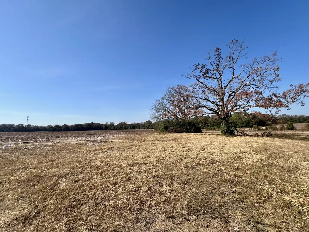 0 Borad Street Headland AL 36345