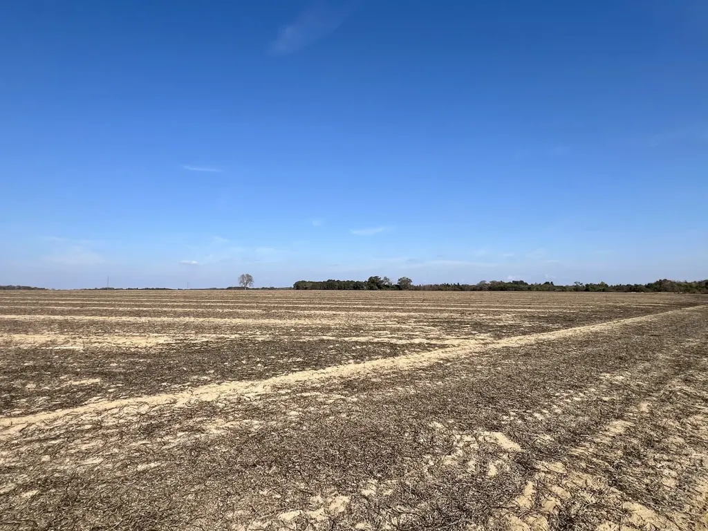 0 Borad Street Headland AL 36345