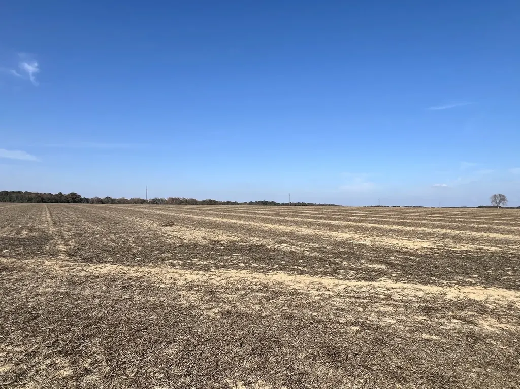 0 Borad Street Headland AL 36345