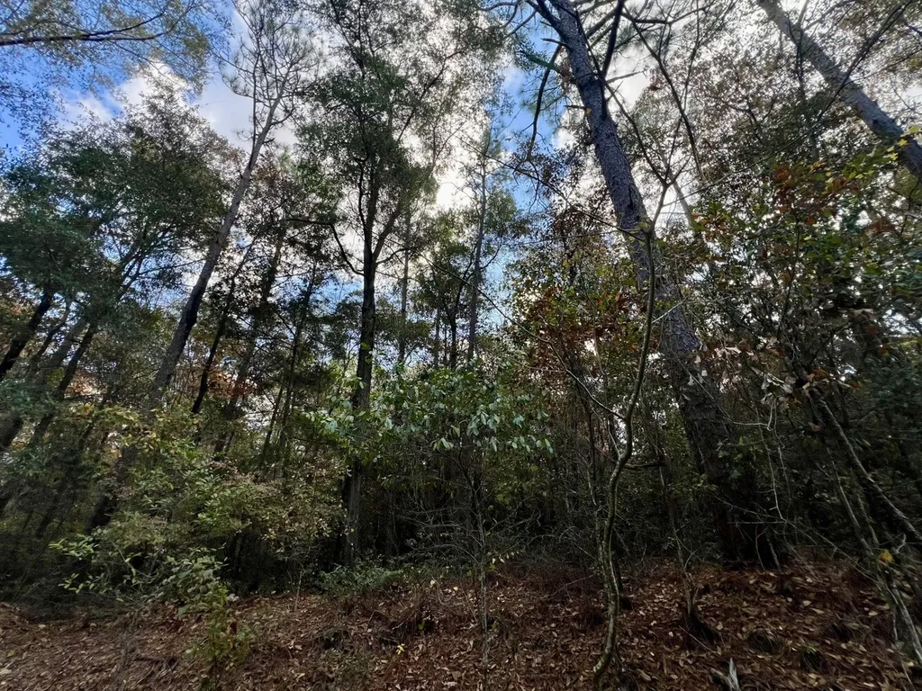 0 Borad Street Headland AL 36345