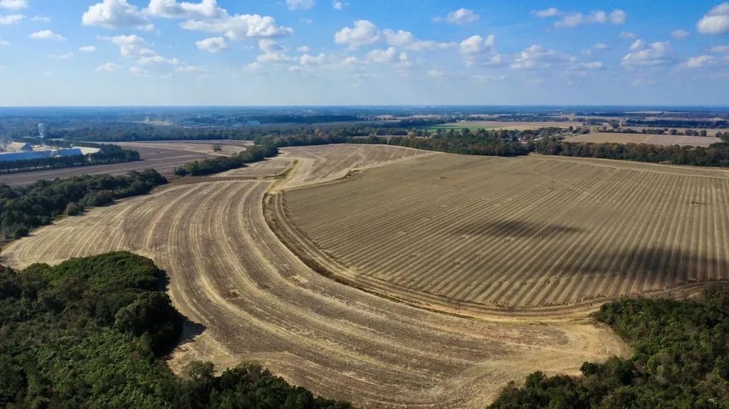 0 Borad Street Headland AL 36345