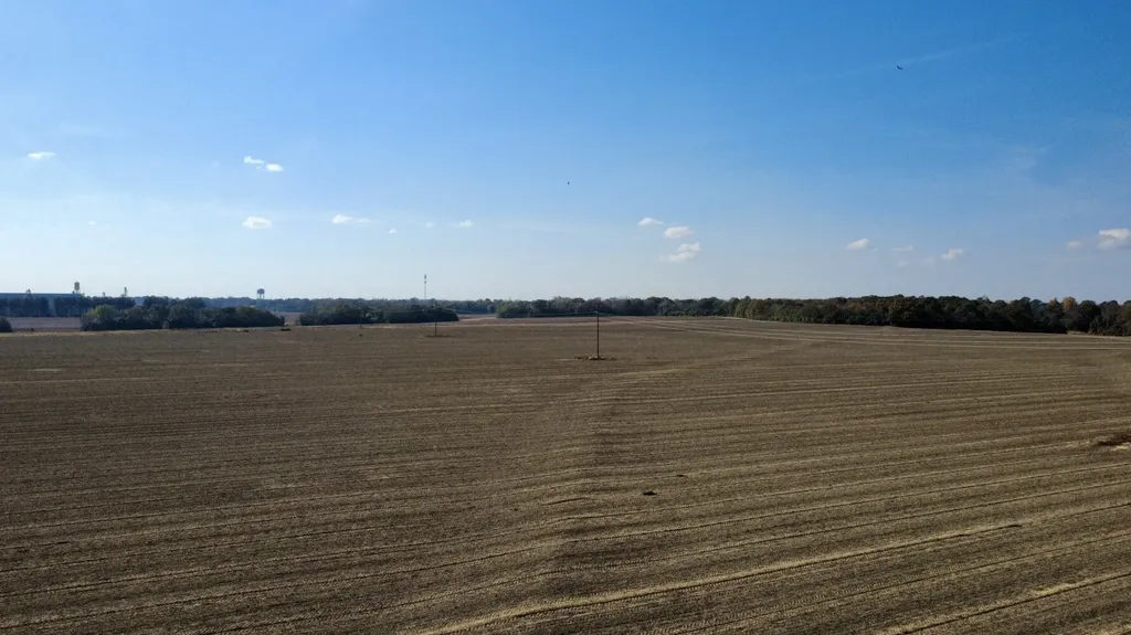 0 Borad Street Headland AL 36345