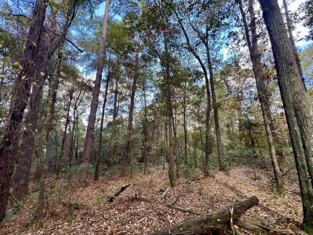 0 Borad Street Headland AL 36345