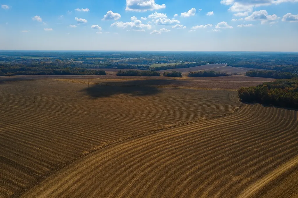 0 Borad Street Headland AL 36345