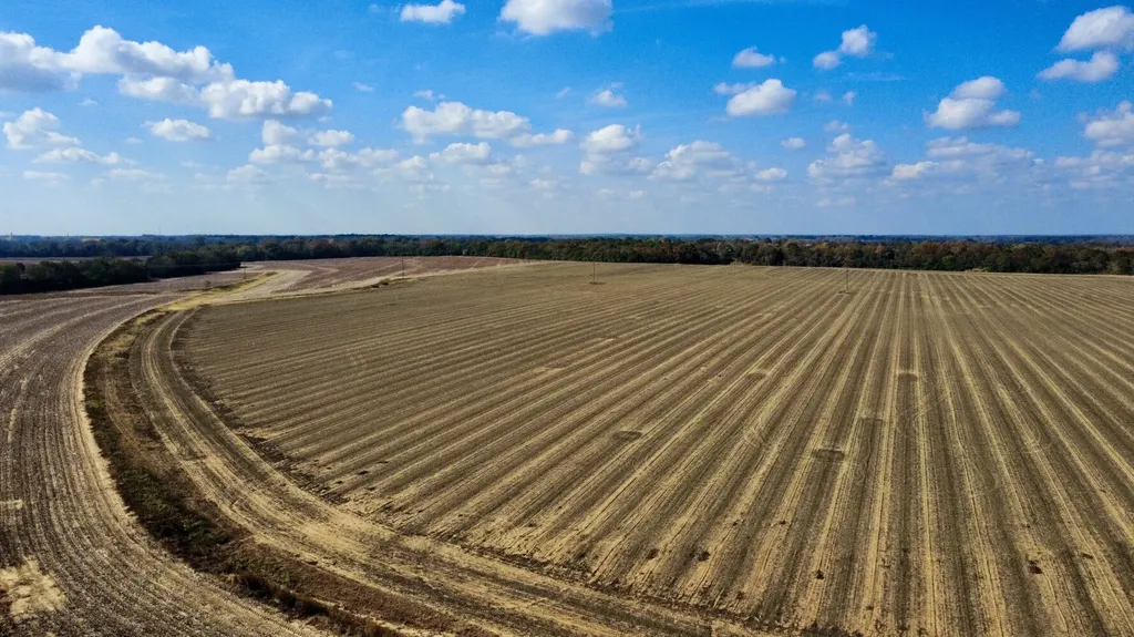 0 Borad Street Headland AL 36345