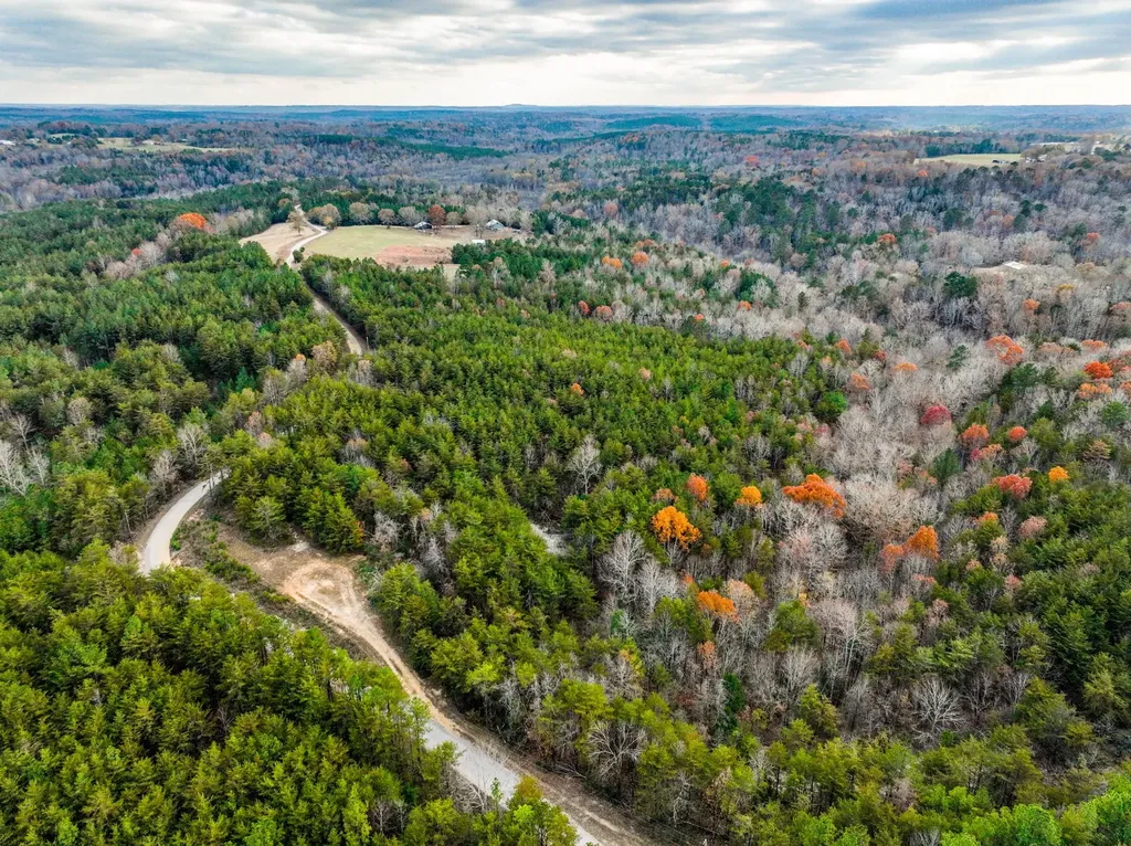 23 Acres County Road 3217 Haleyville AL 35565