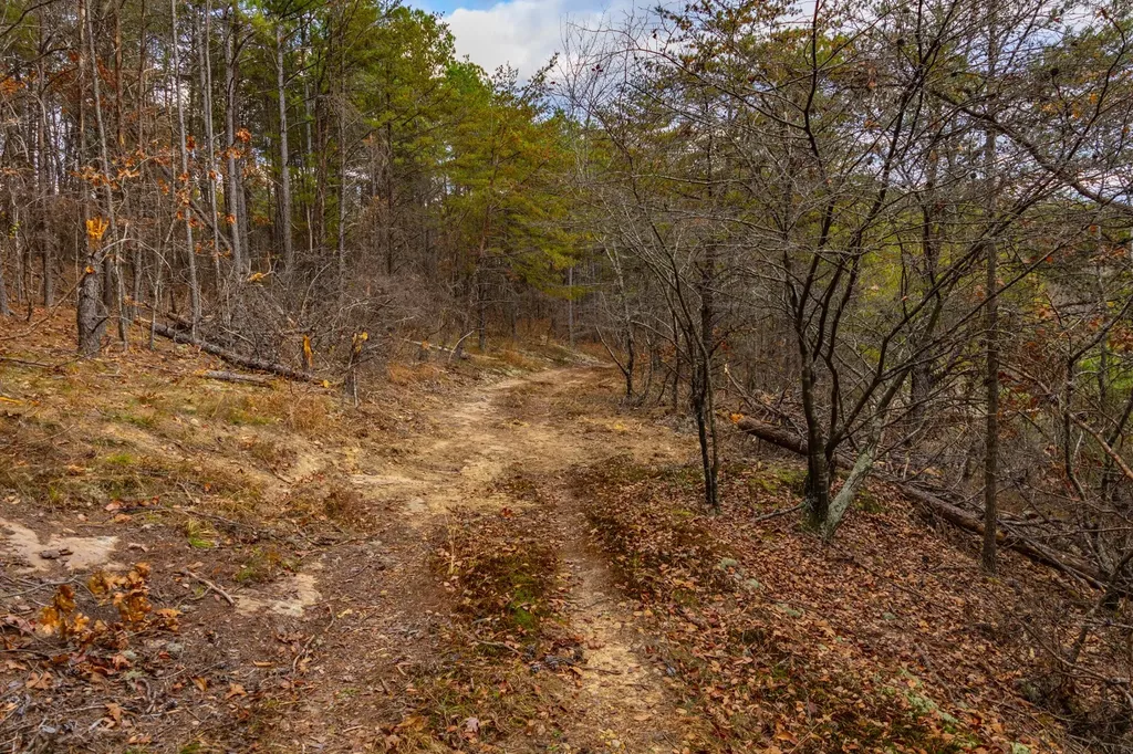 23 Acres County Road 3217 Haleyville AL 35565