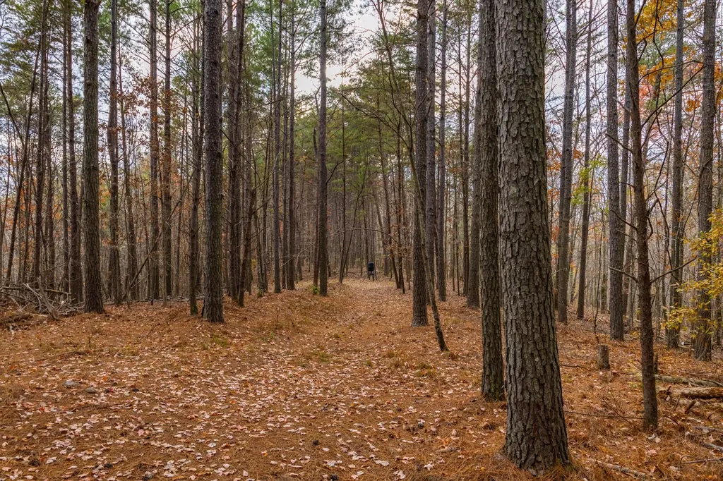 23 Acres County Road 3217 Haleyville AL 35565