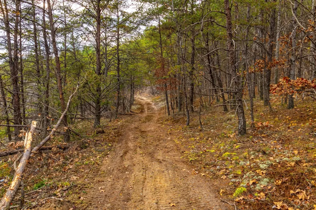 23 Acres County Road 3217 Haleyville AL 35565