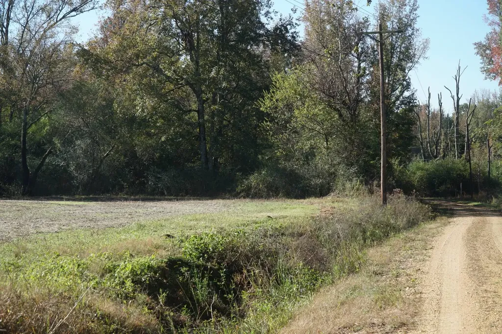 0 Barn Creek Road Hamilton AL 35570