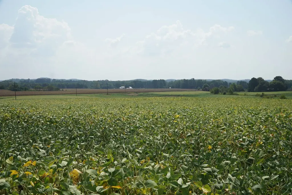 18369 Highway 253 Hamilton AL 35570