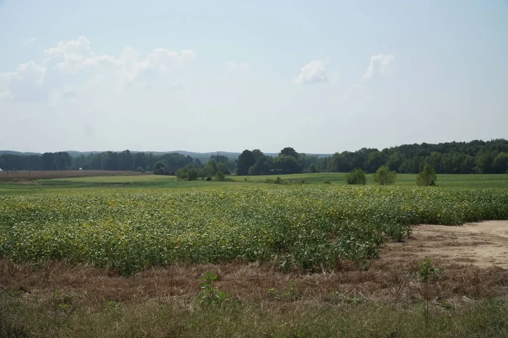 18369 Highway 253 Hamilton AL 35570