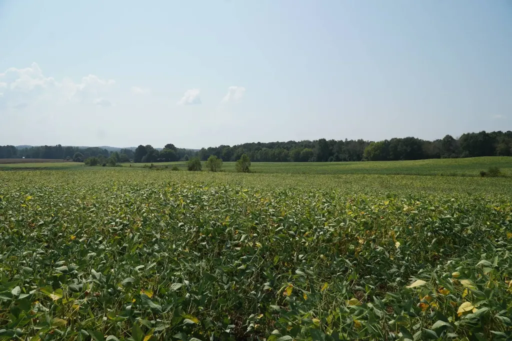 18369 Highway 253 Hamilton AL 35570