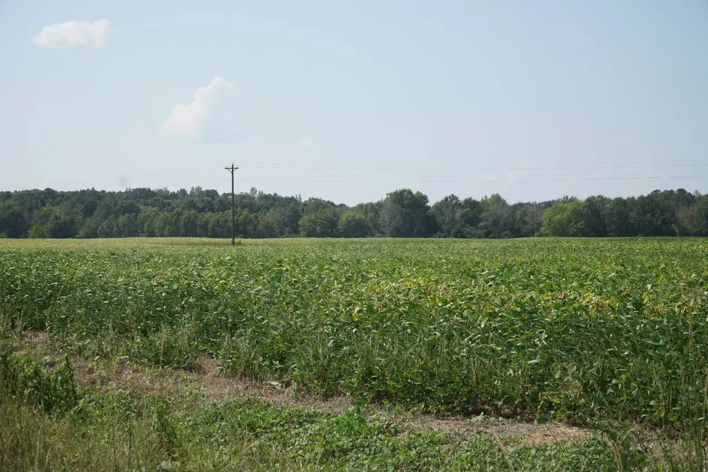 18369 Highway 253 Hamilton AL 35570