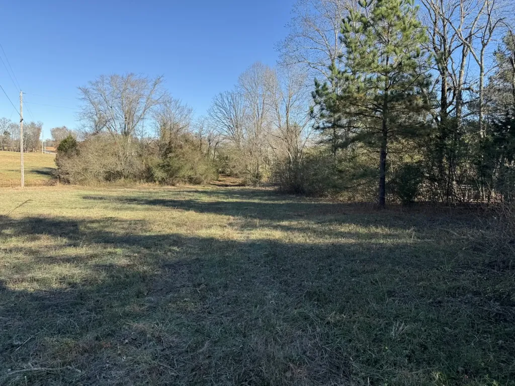 8951 County Road 11 Florence AL 35633