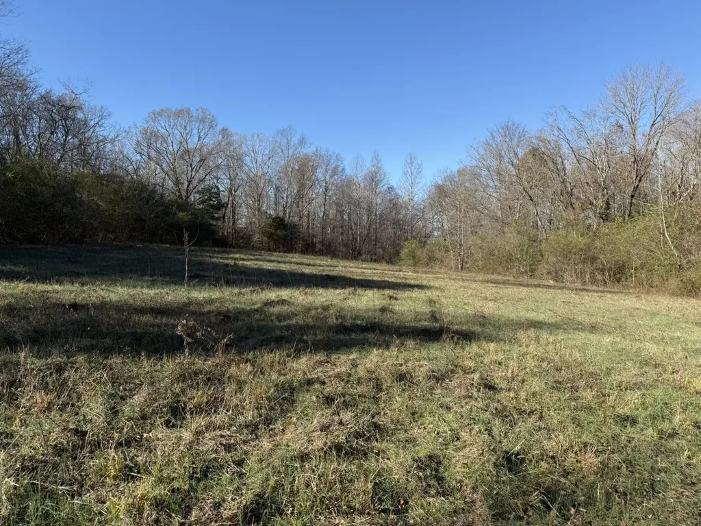 8951 County Road 11 Florence AL 35633