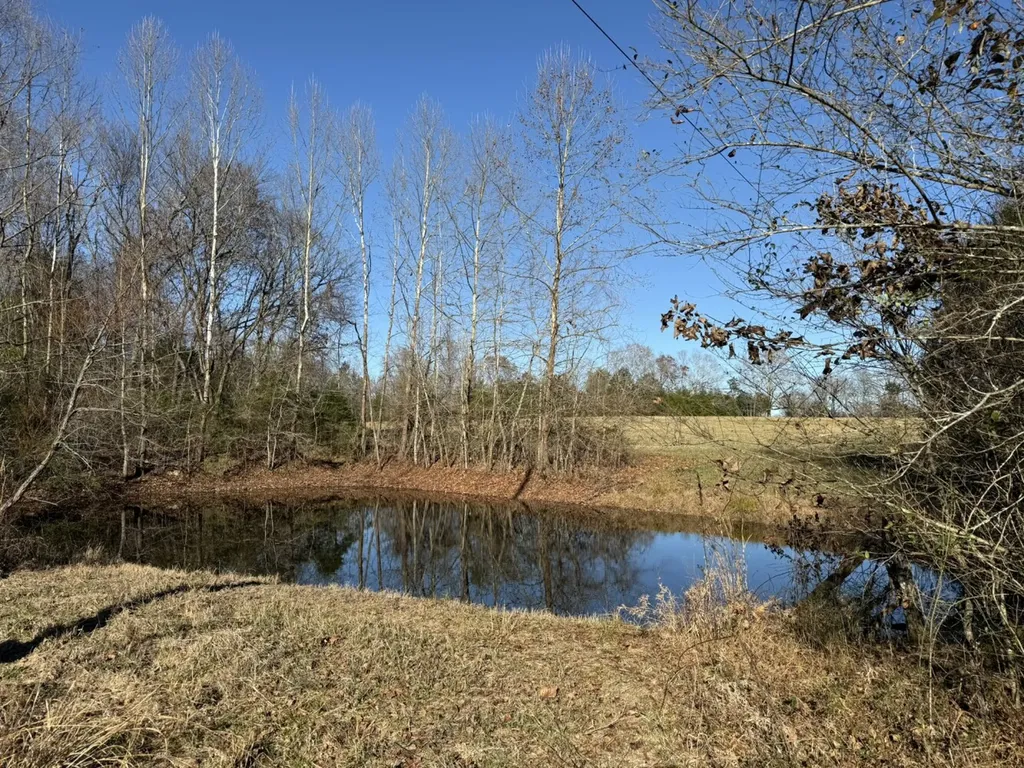 8951 County Road 11 Florence AL 35633