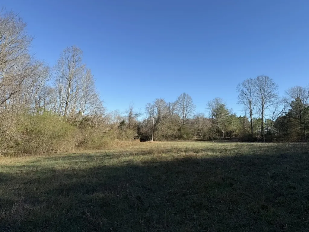 8951 County Road 11 Florence AL 35633