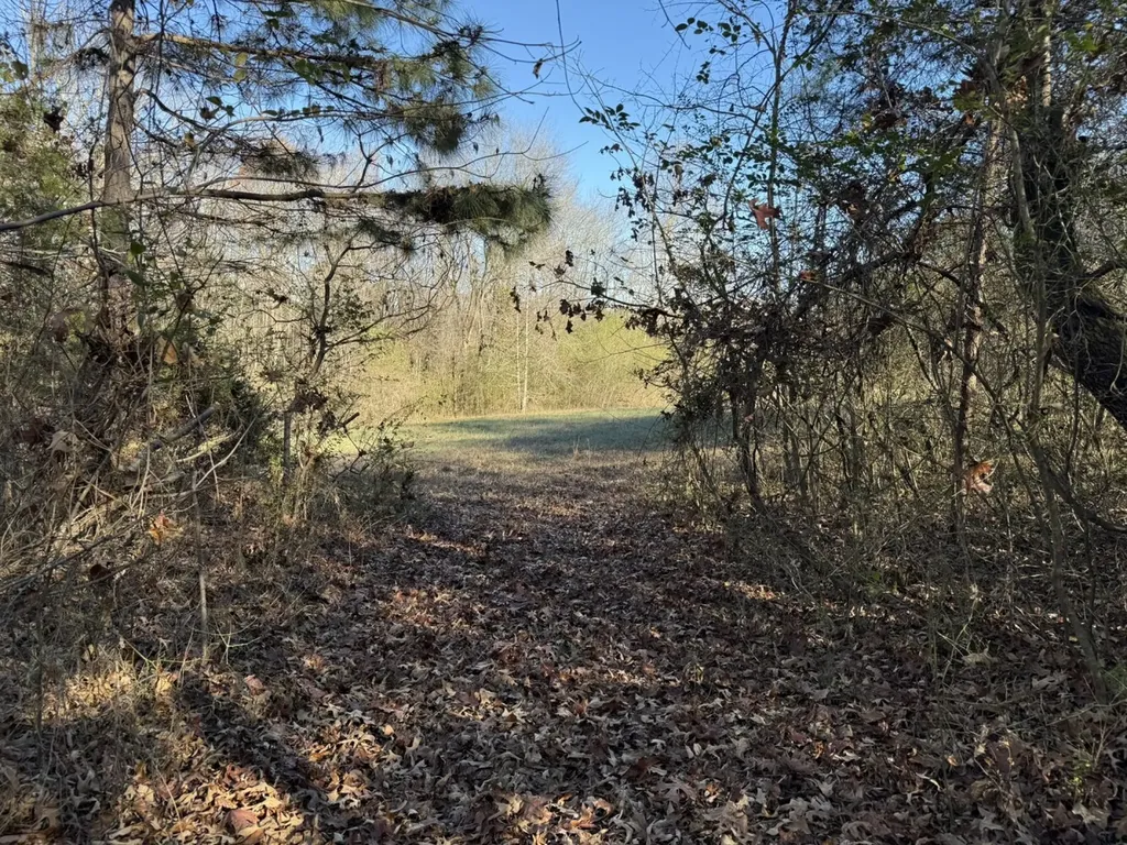 8951 County Road 11 Florence AL 35633