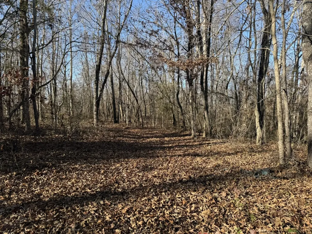 8951 County Road 11 Florence AL 35633