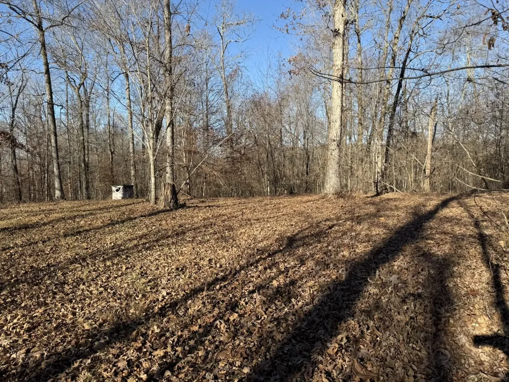 8951 County Road 11 Florence AL 35633