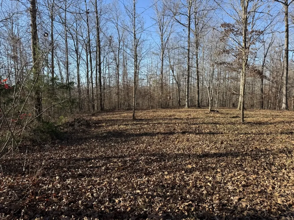 8951 County Road 11 Florence AL 35633