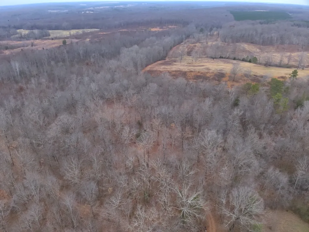 8951 County Road 11 Florence AL 35633