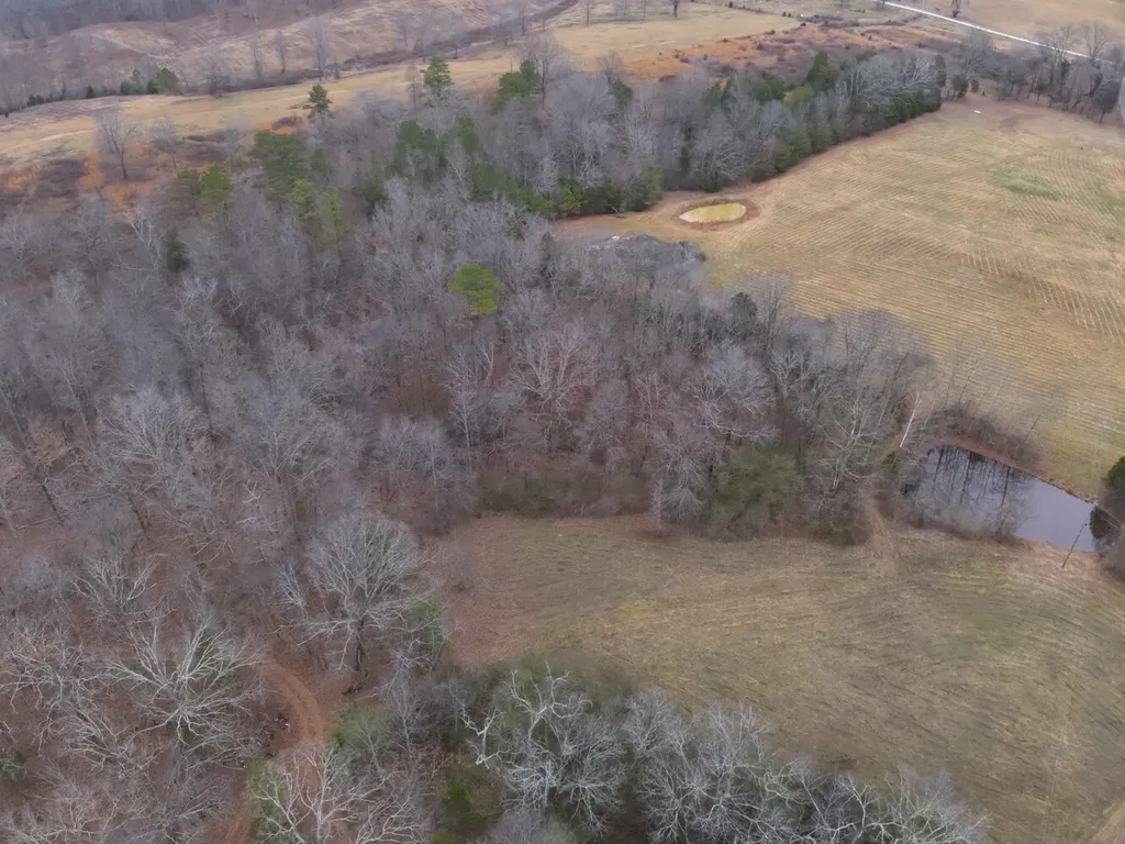 8951 County Road 11 Florence AL 35633