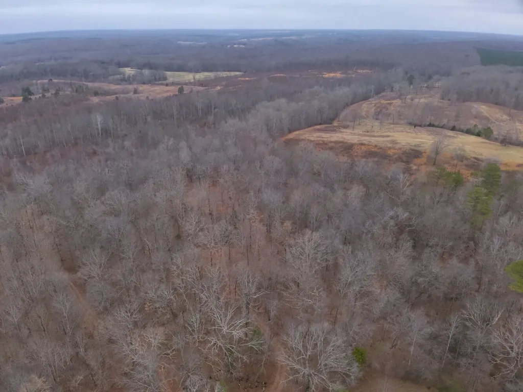 8951 County Road 11 Florence AL 35633