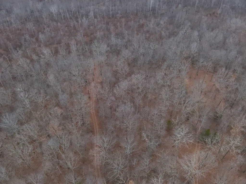 8951 County Road 11 Florence AL 35633