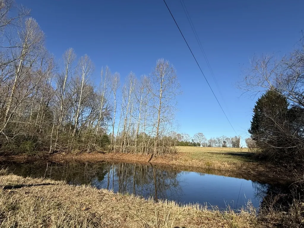 8951 County Road 11 Florence AL 35633