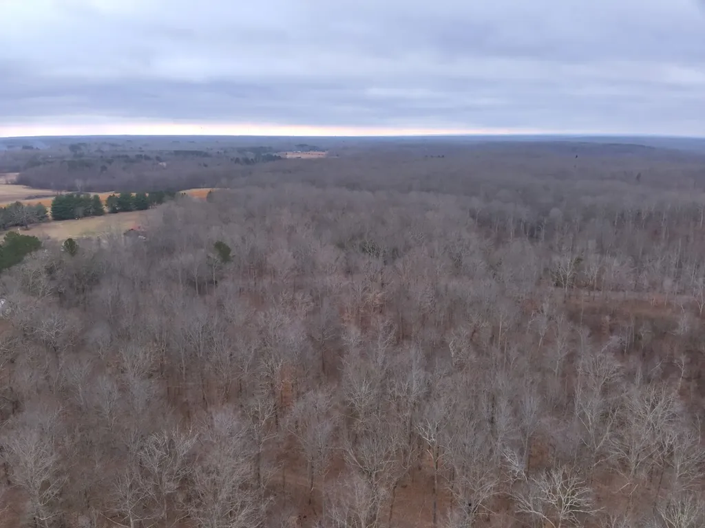 8951 County Road 11 Florence AL 35633