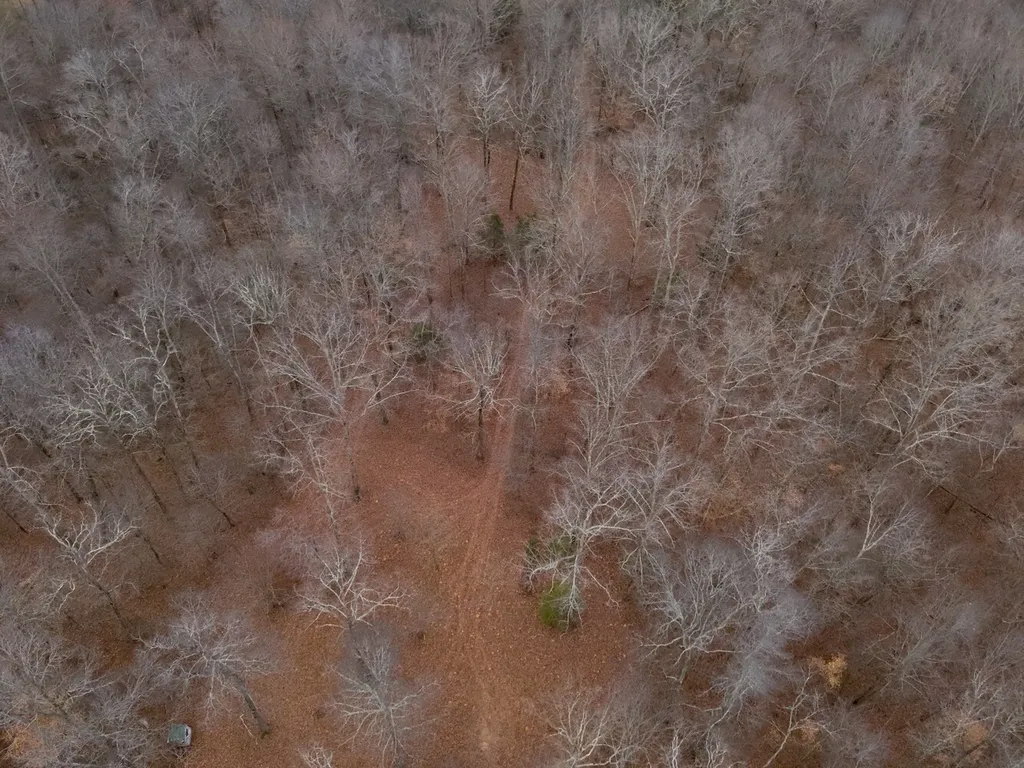 8951 County Road 11 Florence AL 35633