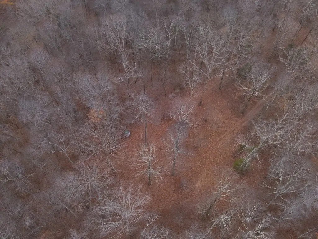 8951 County Road 11 Florence AL 35633