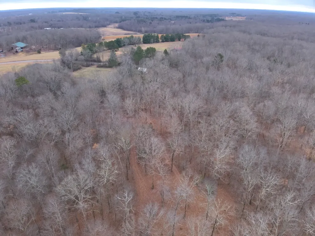 8951 County Road 11 Florence AL 35633