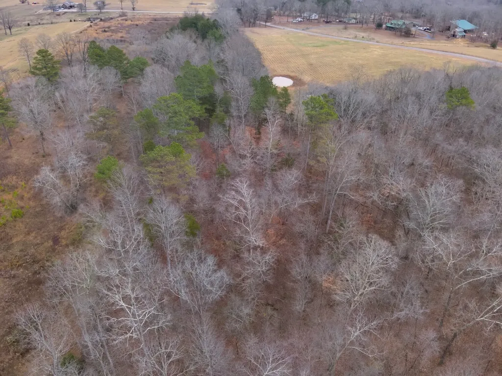 8951 County Road 11 Florence AL 35633