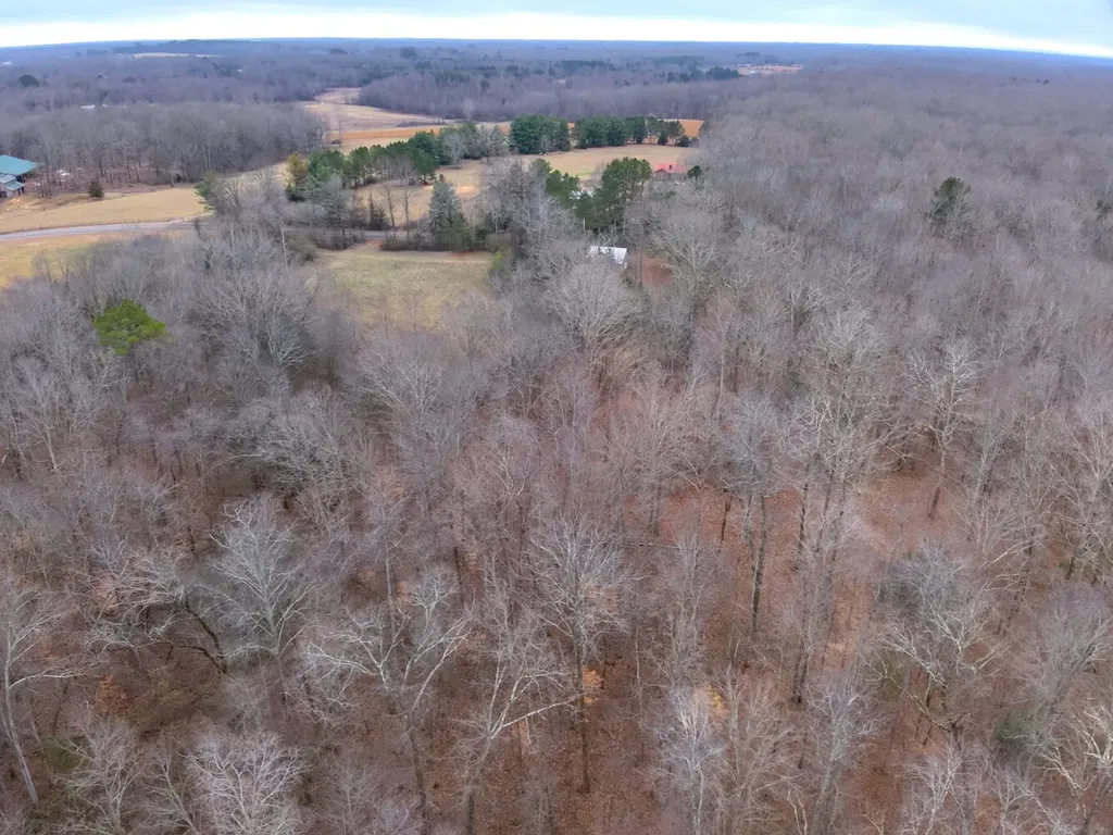 8951 County Road 11 Florence AL 35633