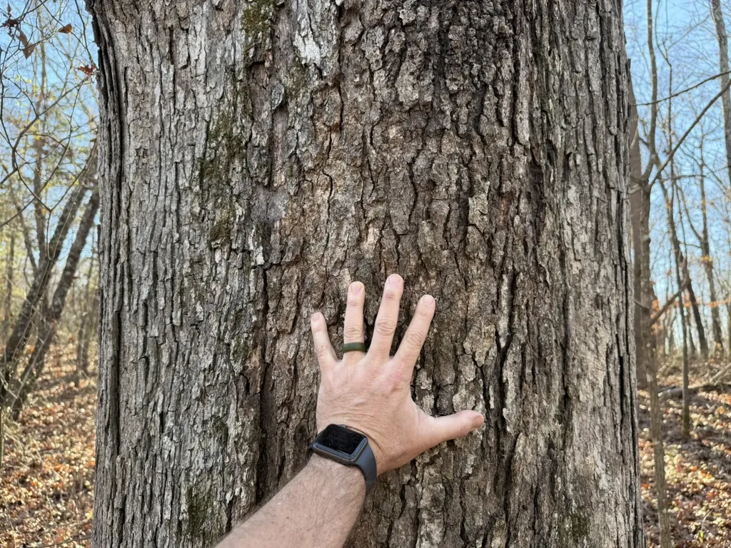 8951 County Road 11 Florence AL 35633