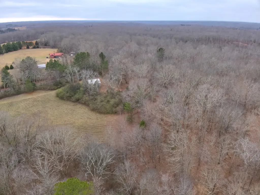 8951 County Road 11 Florence AL 35633