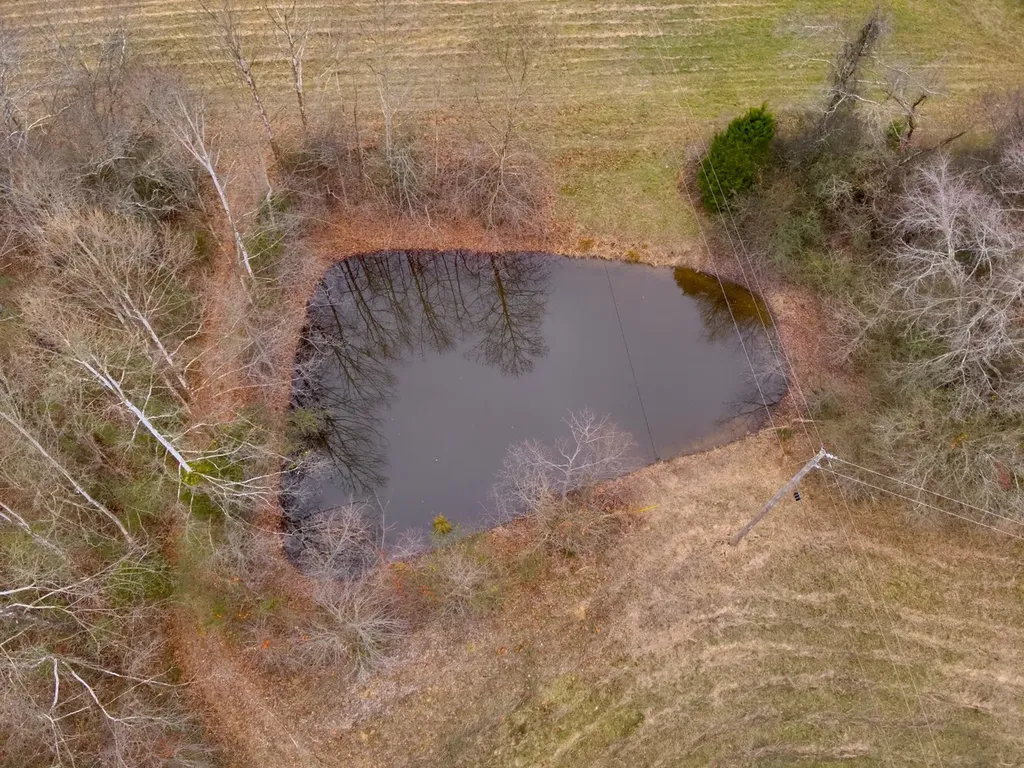 8951 County Road 11 Florence AL 35633