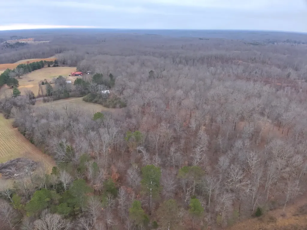 8951 County Road 11 Florence AL 35633