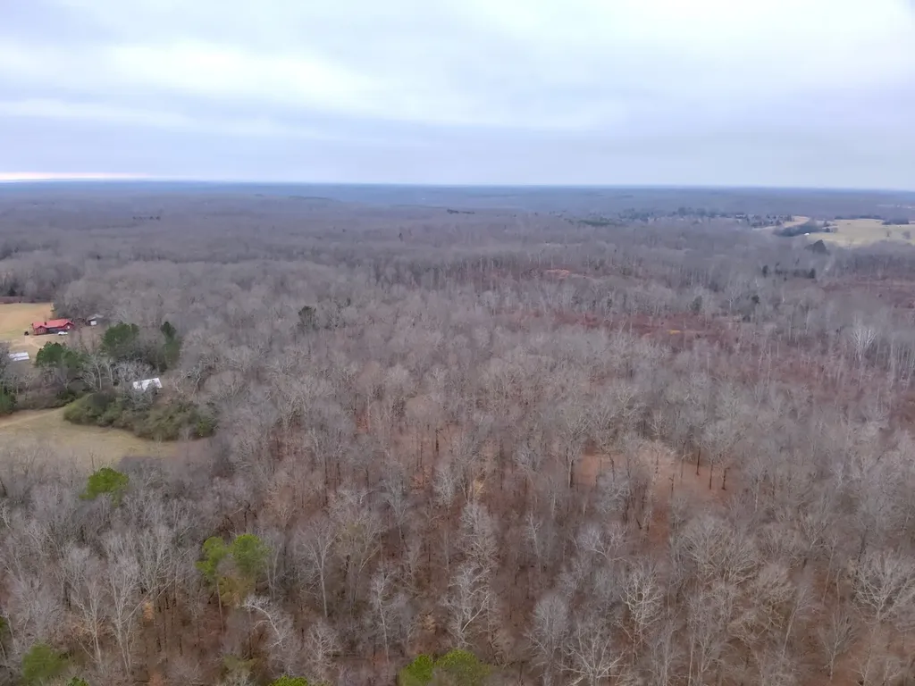 8951 County Road 11 Florence AL 35633