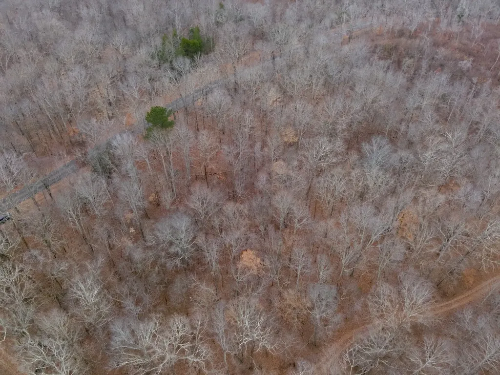 8951 County Road 11 Florence AL 35633