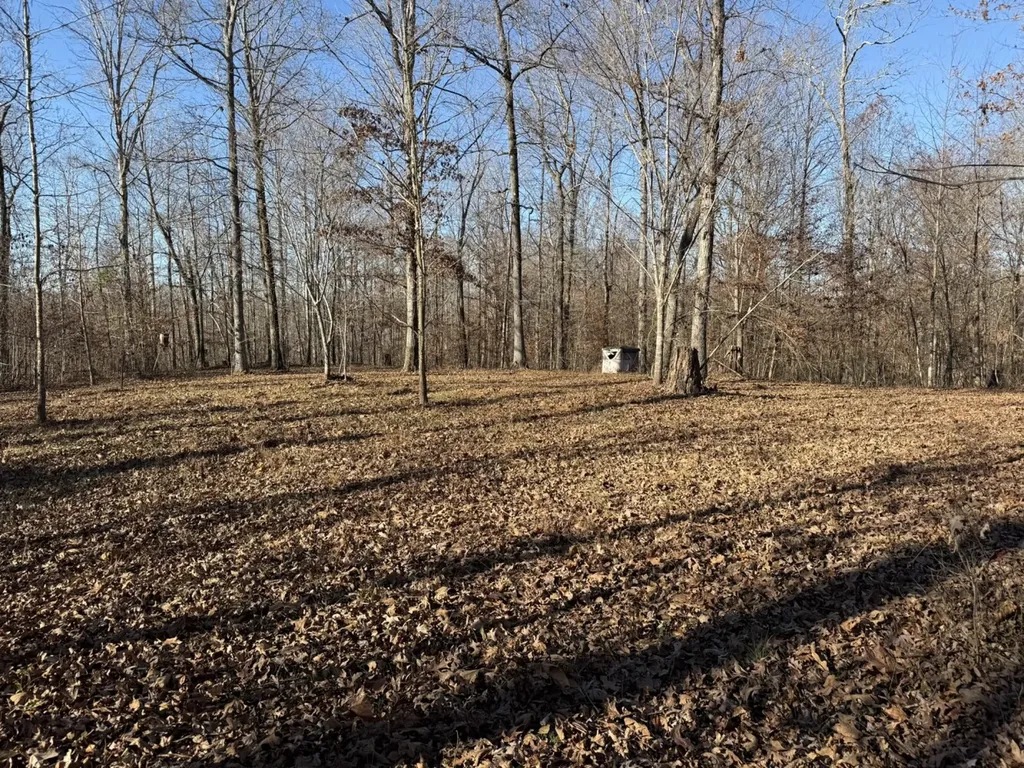 8951 County Road 11 Florence AL 35633